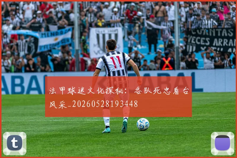 法甲球迷文化探秘:各队死忠看台风采_20260528193448