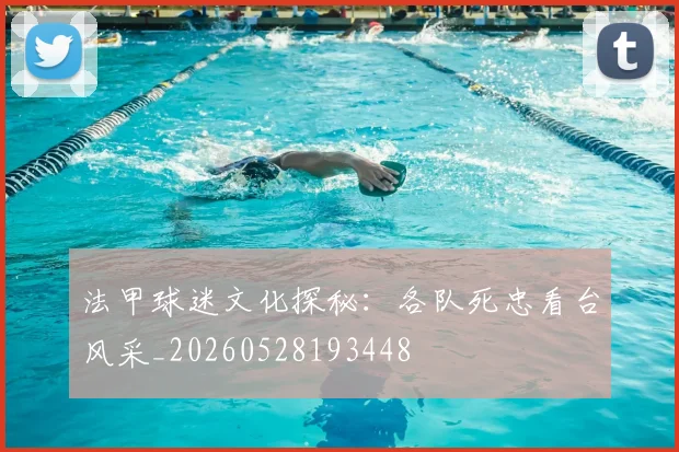 法甲球迷文化探秘：各队死忠看台风采_20260528193448